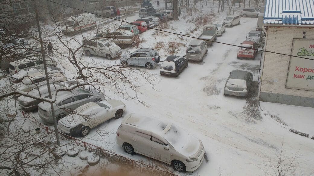 снежный апокалипсис