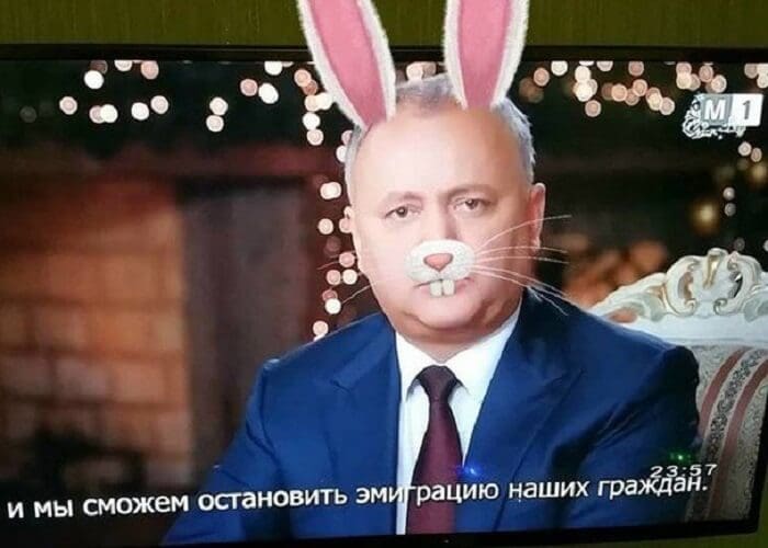 dodon2