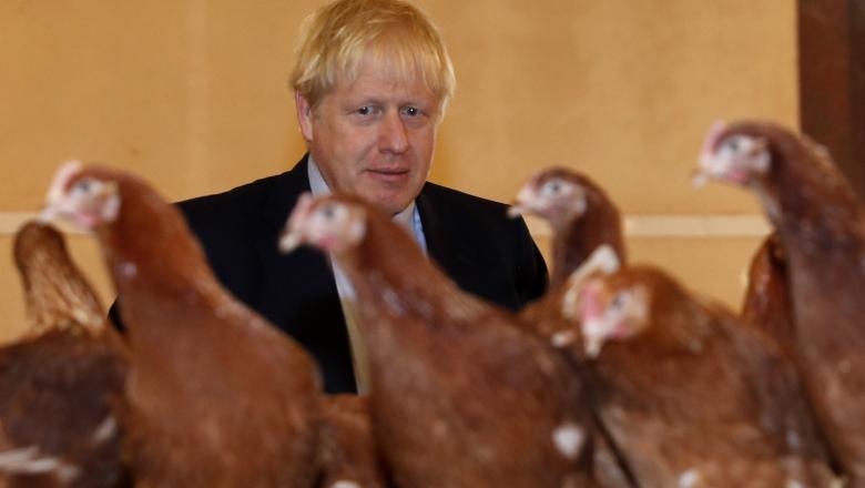 Apocalipsa Brexit. Guvernul britanic a cerut lanţurilor de supermarketuri să facă provizii