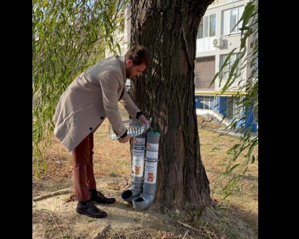 поддержка животных