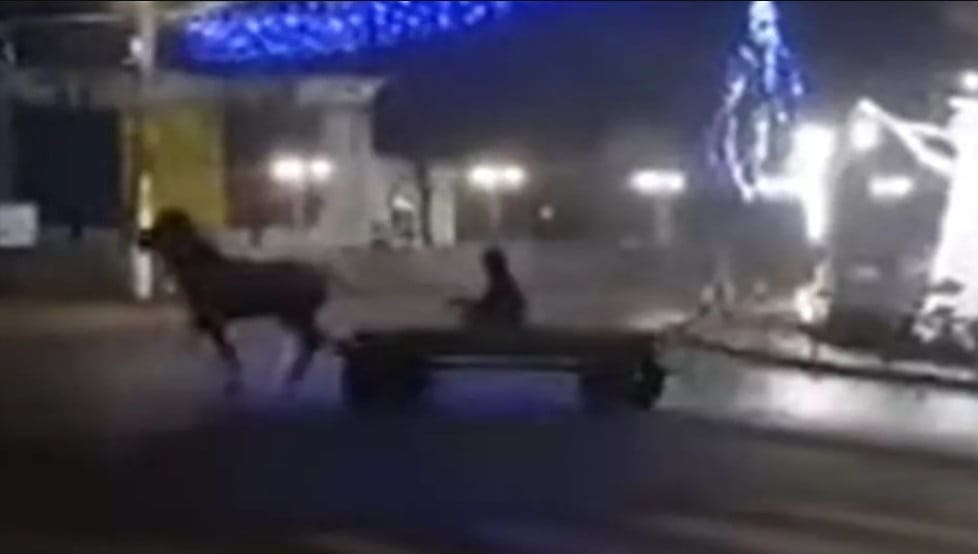 дрифт на телеге